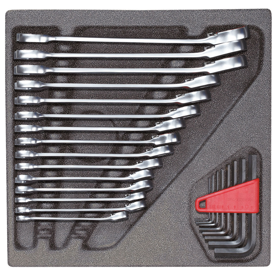 GEDORE red R22250001 - Juego de llaves combinadas de carraca y llaves allen en módulo