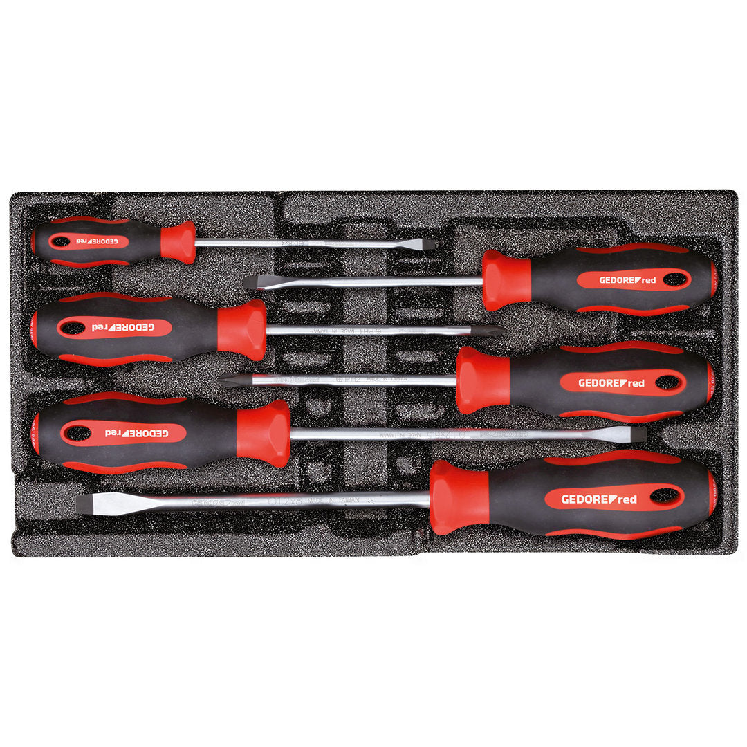 GEDORE red R22150013 - Juego de destornilladores PH + SL, módulo CT 2/6, 6 piezas