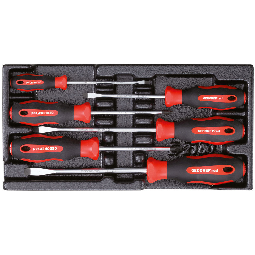 GEDORE red R22150014 - Juego de destornilladores PZ + SL, módulo CT 2/6, 6 piezas