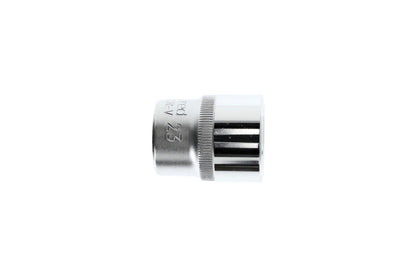 R61002306 - Got 1/2", hexagonal, 23 mm L=38 mm
