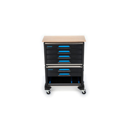 GEDORE 1110 WMW-3 - Carro WorkMo AN3 (2954443)