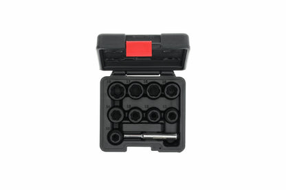 R68003010 - Extractor de ranura helicoïdal 1/2", 10-19 mm, 10 peces