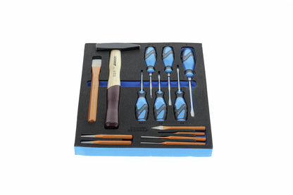 TS CT2-2154SK-119 - Assortiment de tornavisos i eina de copejament en mòdul d'escuma Check-Tool de doble cos, 14 peces