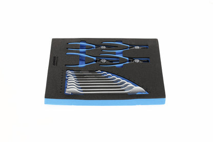 TS CT2-6-8000 - Assortiment d'alicates de puntes i claus planes en mòdul d'escuma Check-Tool de doble cos, 15 peces