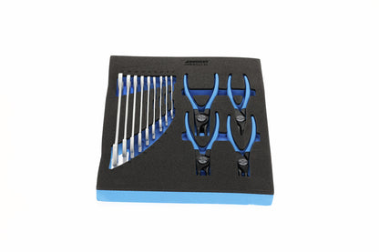 TS CT2-6-8000 - Assortiment d'alicates de puntes i claus planes en mòdul d'escuma Check-Tool de doble cos, 15 peces