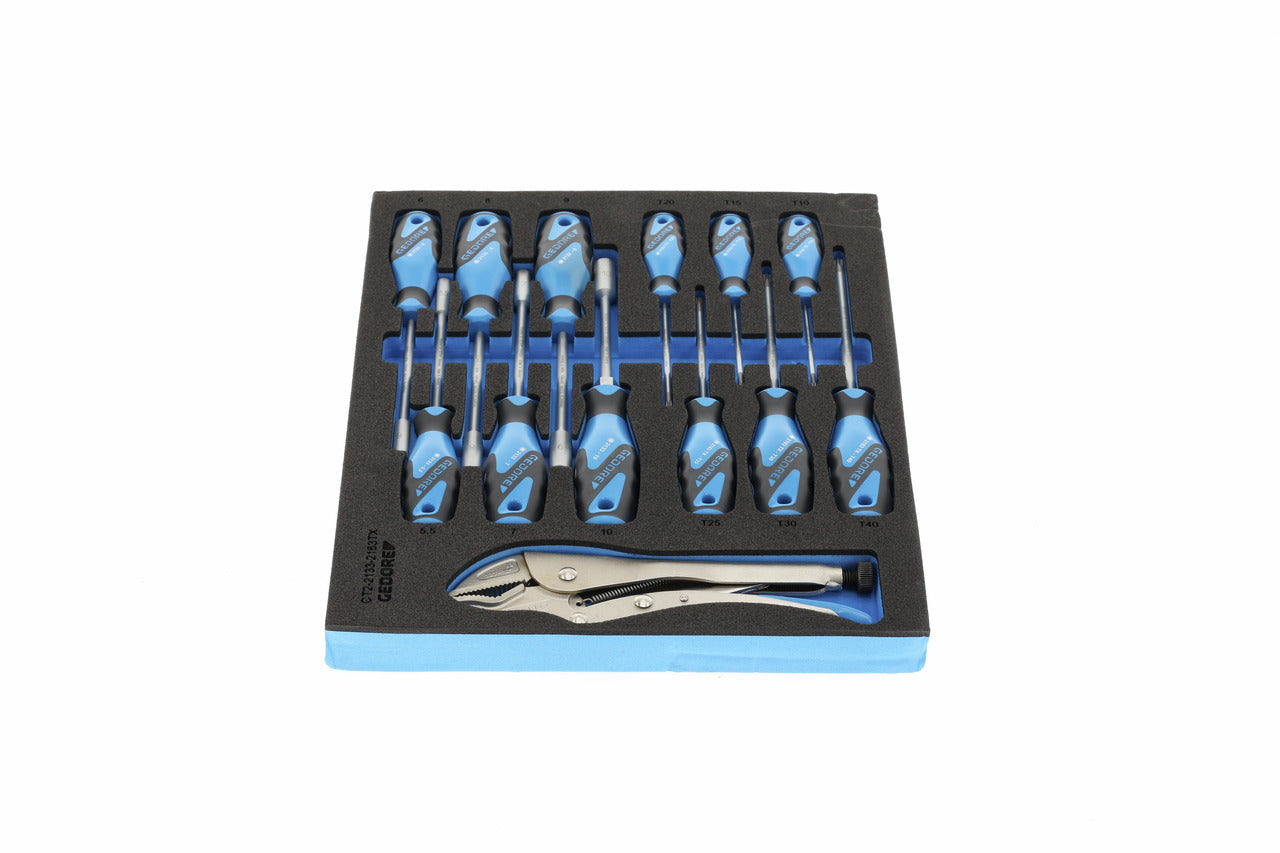 TS CT2-2133-2163TX - Assortiment de tornavisos i mordassa grip en mòdul d'escuma Check-Tool de doble cos, 13 peces
