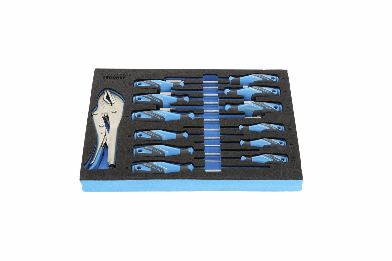 TS CT2-2133-2163TX - Assortiment de tornavisos i mordassa grip en mòdul d'escuma Check-Tool de doble cos, 13 peces