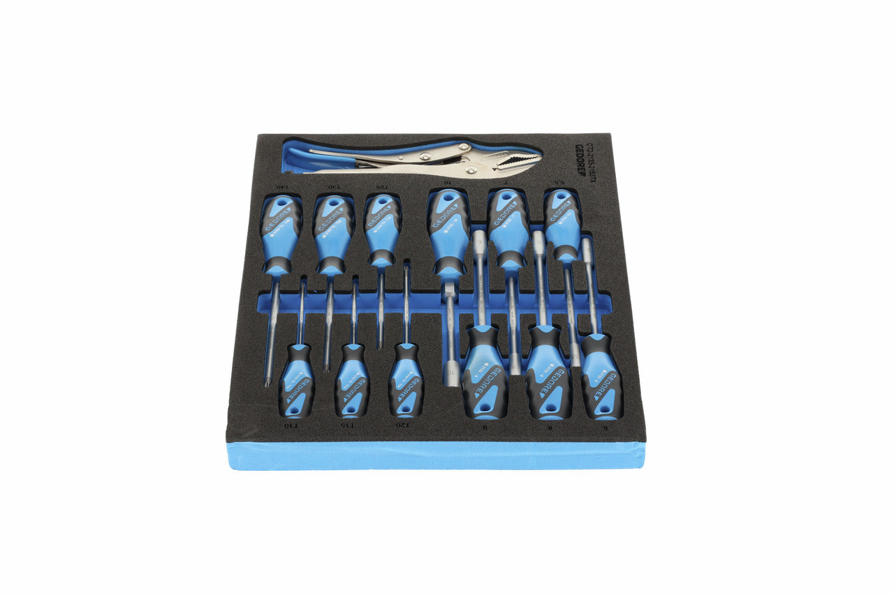 TS CT2-2133-2163TX - Assortiment de tornavisos i mordassa grip en mòdul d'escuma Check-Tool de doble cos, 13 peces