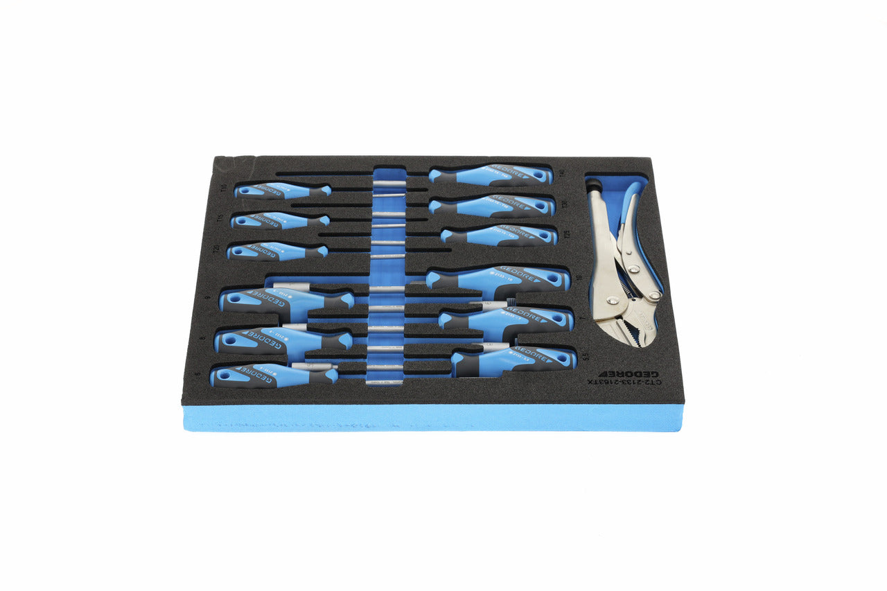 TS CT2-2133-2163TX - Assortiment de tornavisos i mordassa grip en mòdul d'escuma Check-Tool de doble cos, 13 peces