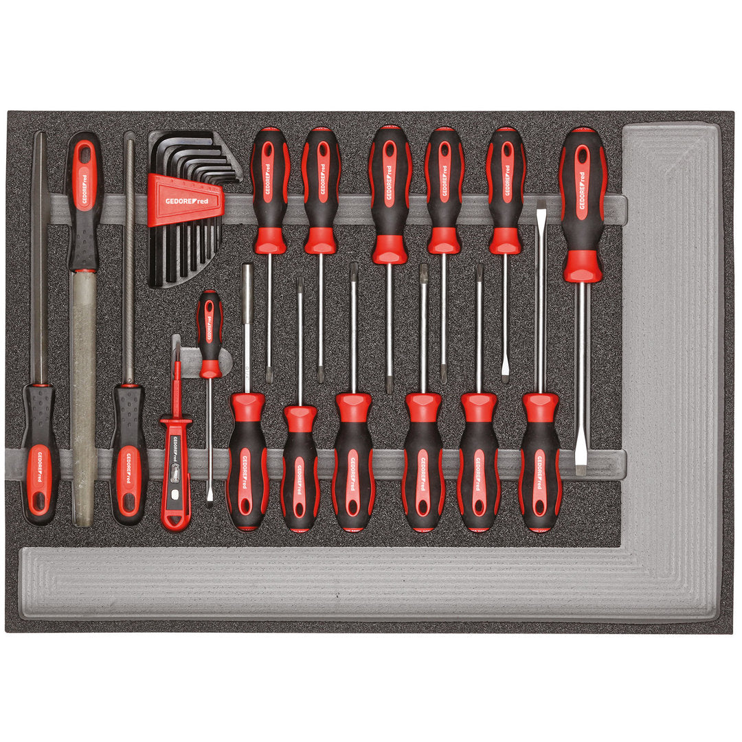 GEDORE red R22350002 - Juego de herramientas destornilladores + limas módulo CT, 25 piezas