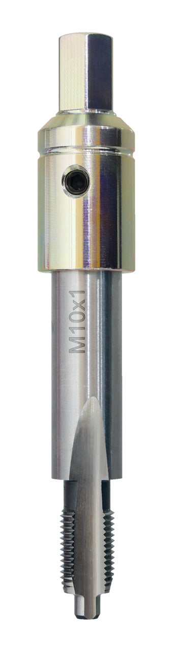M10x1 haritxoa