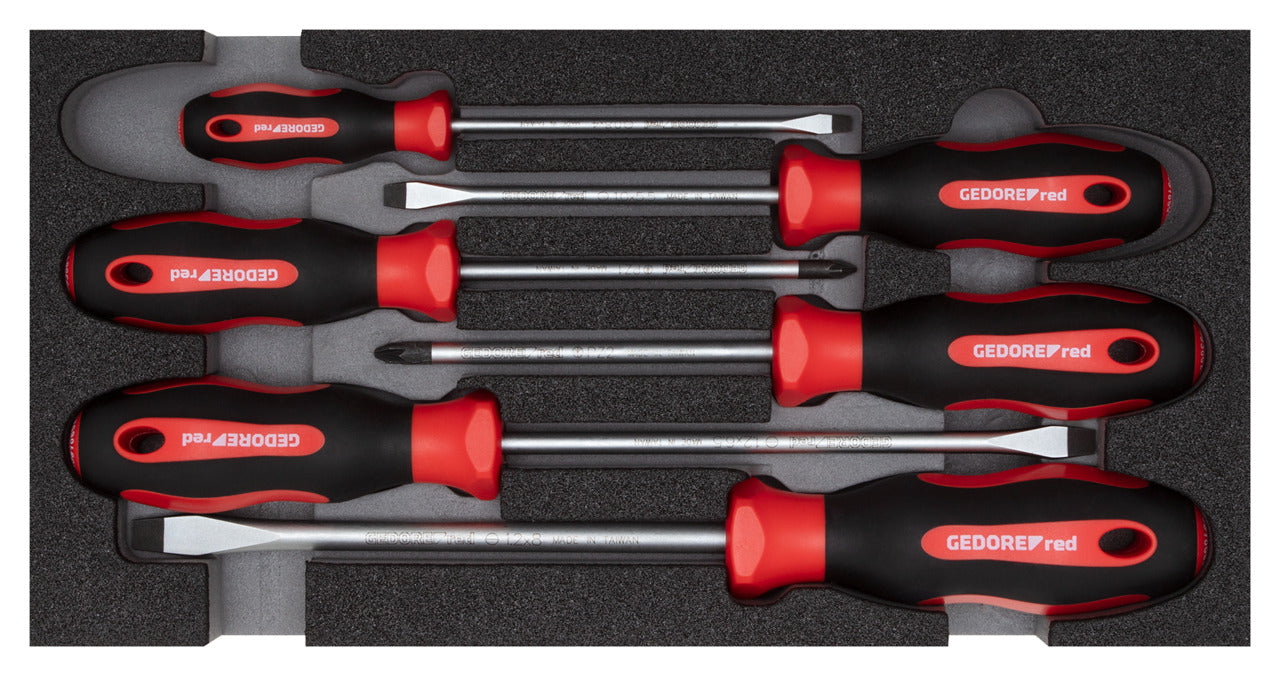 R22150014 - Joc de tornavisos PZ + SL, mòdul CT 2/6, 6 peces